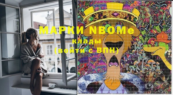 соль ск Магас