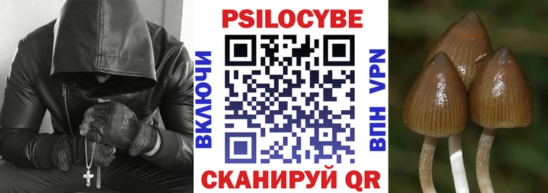 Купить закладки  Нестеровская  Псилоцибиновые грибы мицелий 